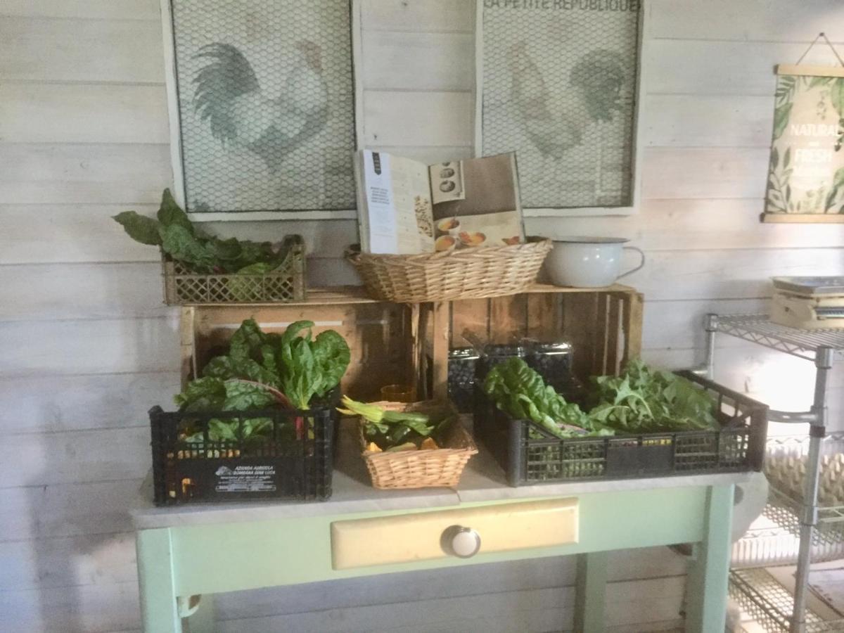 Bilocale In The Farm- Malpensa-Lago Maggiore Varallo Pombia Eksteriør bilde