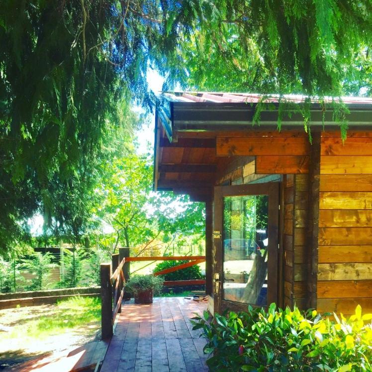Bilocale In The Farm- Malpensa-Lago Maggiore Varallo Pombia Eksteriør bilde