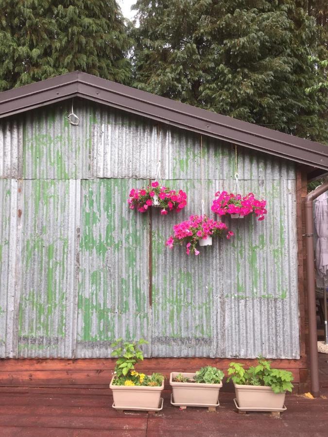 Bilocale In The Farm- Malpensa-Lago Maggiore Varallo Pombia Eksteriør bilde
